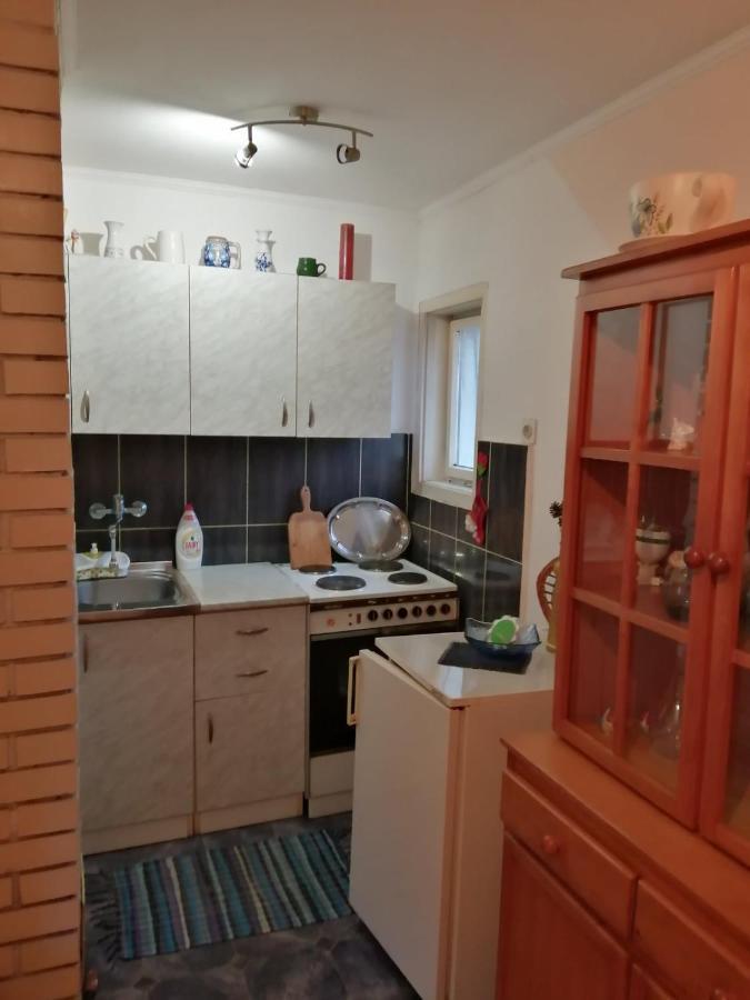 Apartman Nebojsa Рудник Экстерьер фото