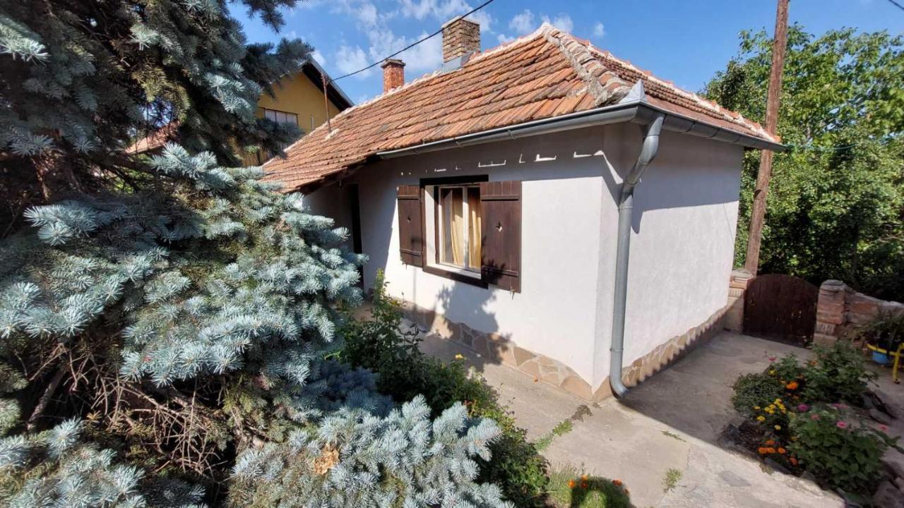 Apartman Nebojsa Рудник Экстерьер фото
