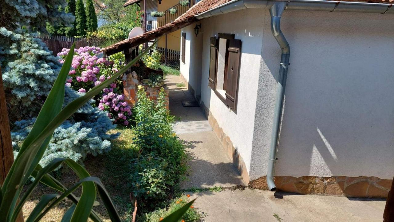 Apartman Nebojsa Рудник Экстерьер фото