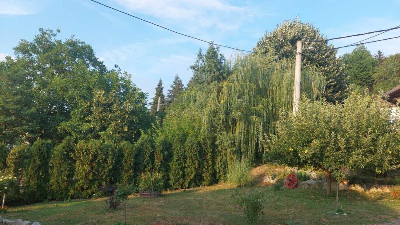 Apartman Nebojsa Рудник Экстерьер фото